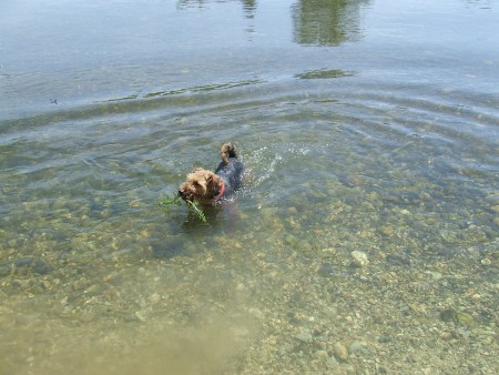 Keď nieje palička...